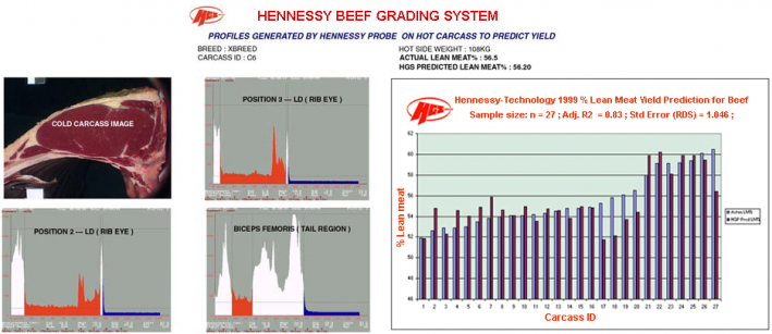 beef.png