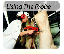 Using the probe and benefits